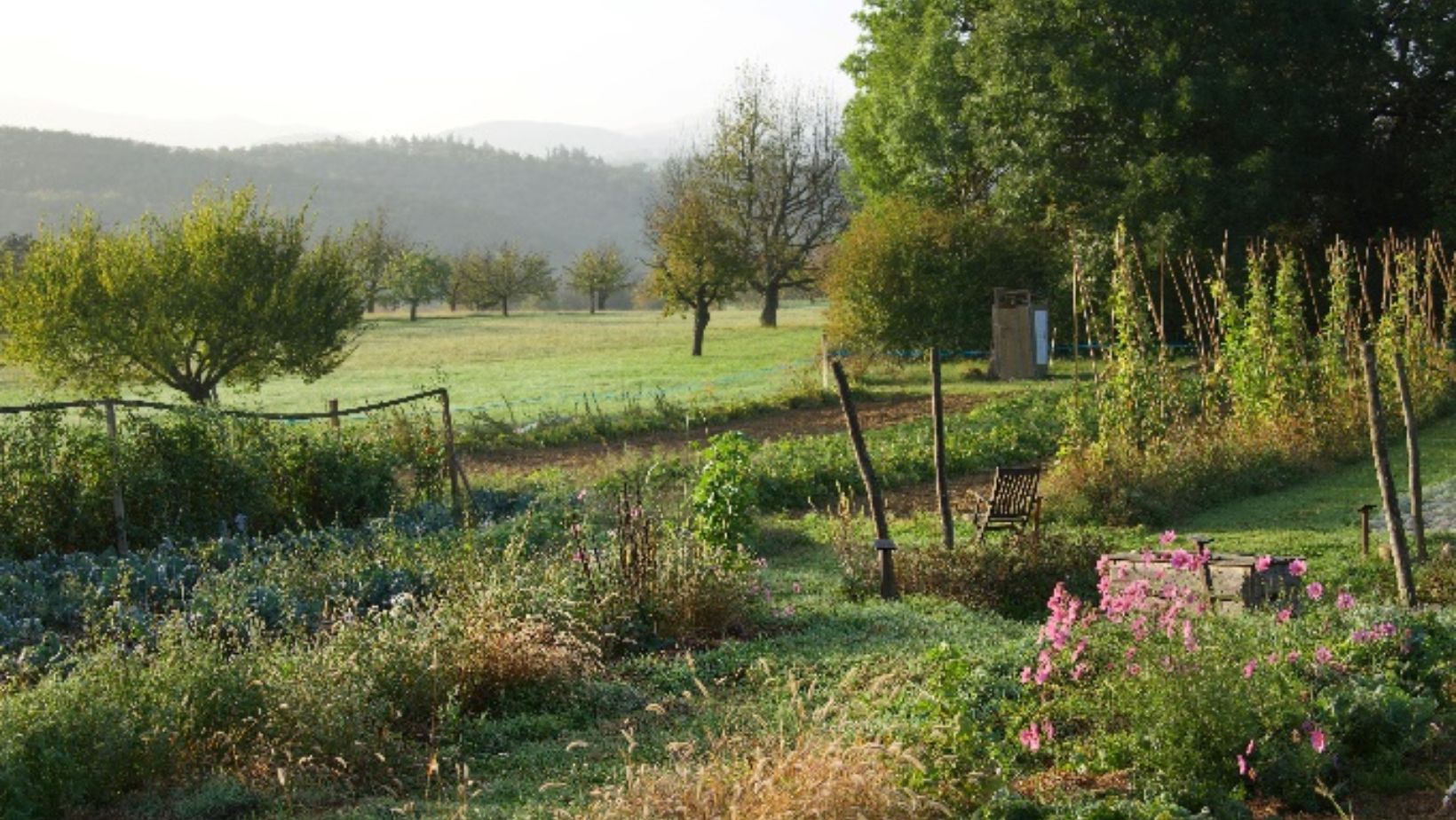 Gestion dechets de jardin